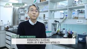 염증성 통증과 염증 완화에까지 도움 주는 효자템↗ TV CHOSUN 20220305 방송