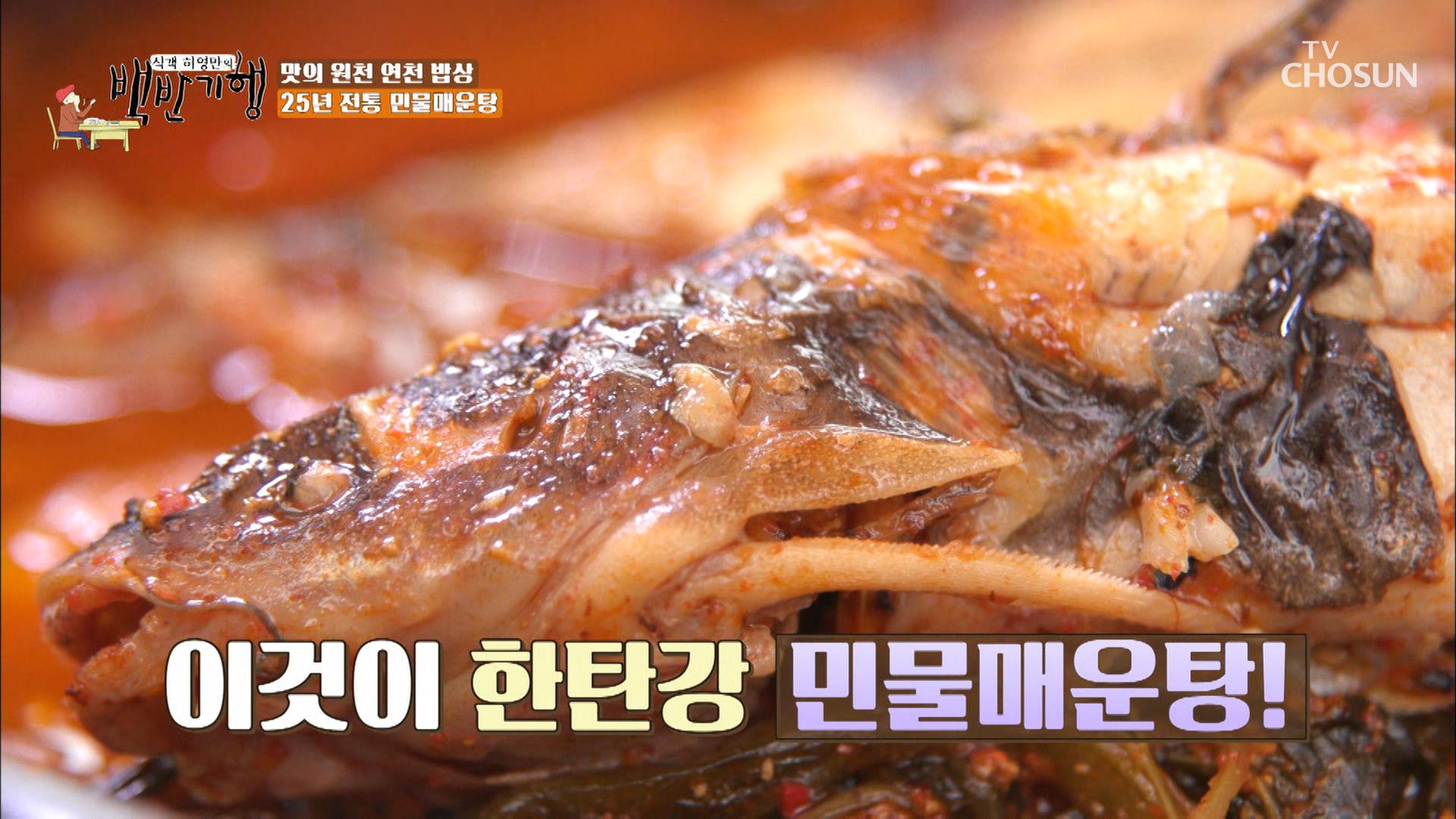 한탄강 신선한 물고기들이 가득한 ‘민물매운탕’🐟 TV CHOSUN 20220527 방송 | ZUM TV
