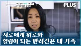 [#감동플] 9마리 반려견과 함께 지내는 양하영 러브하우스💝 | #스타다큐마이웨이 #TVCHOSUNPLUS #TV조선