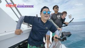 배를 따라 쫓아오는 돌고래들의 아름다운 점프🐬 TV CHOSUN 221007 방송
