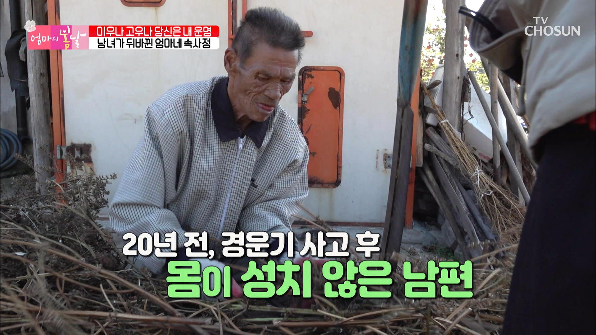 tv-chosun-20221113-zum-tv