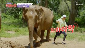 팔랑이는 코끼리 귀가 무서운 시티 보이 석진😆 TV CHOSUN 221118 방송