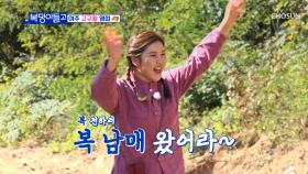 여주 꿀🍯 고구마🍠 수확작업현장에 도착한 복덩이들 TV CHOSUN 221123 방송