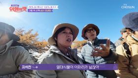 자연에 잔득 취한 여행의 맛 멤버들👏 TV CHOSUN 221209 방송
