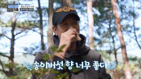 심봤다?! 자연산 송이 캐다 행운의 남자 등극한 시원😍 TV CHOSUN 221218 방송