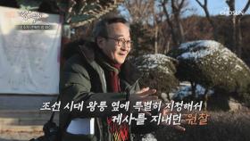 장장 13년?! 지극한 효자 정조에게 각별했던 왕릉의 이장 TV CHOSUN 221229 방송