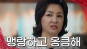 사죄하는 서지혜에 말로 때리는(?) 윤미라 & 김혜선 TV CHOSUN 20230211 방송