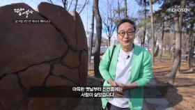 달구벌이었던 대구에는 언제부터 사람이 살았을까? TV CHOSUN 230420 방송