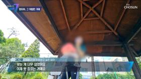 아이를 빨리 입양 보내고 싶은 이유는 경제적 어려움 때문? TV CHOSUN 230518 방송