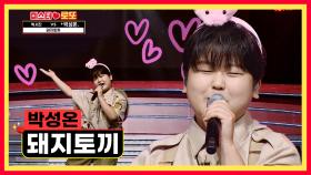 세상에서 제일 귀엽고 사랑스러운 ‘돼지토끼’♬ 🐷박성온🐰 TV CHOSUN 230803 방송