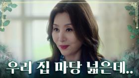 최명길네 마당에서 강아지들 키우며 연하남과 알콩달콩!? TV CHOSUN 230805 방송