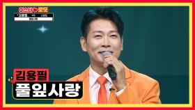 햇살보다 포근하고 따뜻한 낭만 자객 김용필의 ‘풀잎사랑’♬ TV CHOSUN 230914 방송