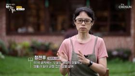 행복하고 평화로운 독서 시간을 추구하는 대만의 서점 🌧청경우독🌧 TV CHOSUN 20231203 방송