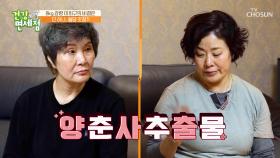 ✨양춘사 추출물✨ 혈당을 조절하며 다이어트까지 한 번에👍 TV CHOSUN 240114 방송
