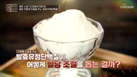 혈당 조절 및 당뇨 예방에 탁월한 『발효유청단백질』 TV CHOSUN 240320 방송