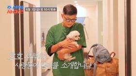 [선공개] 호진♥지호의 집 최초 공개! 그리고 또 다른 가족을 소개합니다 TV CHOSUN 240603 방송