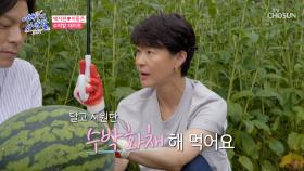 드라마의 한 장면 같은☔️ 지원의 수박밭 데이트🍉 TV CHOSUN 240827 방송