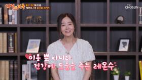 💛레몬주스💛 항산화 관리와 수분 보충을 한 번에😉👍🏻 TV CHOSUN 241004 방송