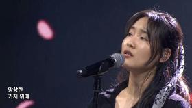 펜타클_못다핀 꽃 한송이(Full Ver.) TV CHOSUN 241010 방송