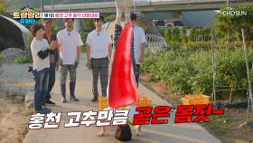 🌶홍천 고추 총각 선발대회🌶 누가 진이 될 상인가?🤔 TV CHOSUN 241025 방송