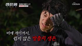 거세지는 빗줄기에 불개미 습격까지🐜 쉽지 않은 임시 거처 만들기💦 TV CHOSUN 241028 방송