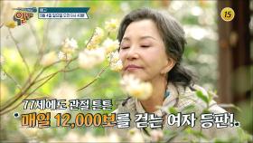 국민 시어머니 서권순의 연골 수명 늘리는 비법은?!_알맹이 317회 예고 TV CHOSUN 250504 방송