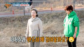 국민 시어머니👩‍🦳 서권순의 관절염 예방법 👣맨발 걷기👣 TV CHOSUN 250504 방송