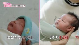 3주 만에 폭풍 성장🙊 다시 만난 1호 아기👼 사랑이💗 TV CHOSUN 250516 방송
