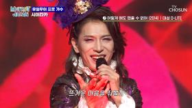 무한 재생🔄 시이타카의 영상을 ‘어떻게 해도 멈출 수 없어’♪🙀 TV CHOSUN 250524 방송