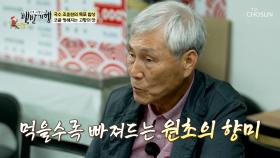 식감까지 GOOD🤩 코 끝이 찡해지는 삭힌 홍어의 맛😆 TV CHOSUN 250615 방송 TV CHOSUN 250615 방송