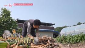 엄마와 두 남자_엄마의 봄날 510회 예고 TV CHOSUN 250622 방송