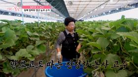 농사만 60년⁉😮 베테랑 엄마에게 농사 수업🏫 받는 아들과 손자 TV CHOSUN 250622 방송