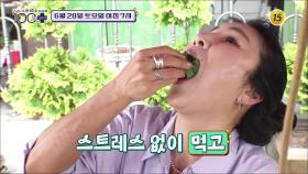 중년 다이어트의 혁명 비만 기억을 지워라_손범수와 함께 100세 더하기 49회 예고 TV CHOSUN 250628 방송