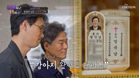 그저 할머니에 대한 죄송함과 후회 가득한😔 손자의 편지💌 TV CHOSUN 250624 방송