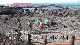 영희 어멍 폭싹 속았수다_엄마의 봄날 511회 예고 TV CHOSUN 250629 방송