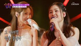 감미로운 아현&나영의 목소리에😉 귀호강도 두 배✌ ‘또 만났네요’♪ TV CHOSUN 250625 방송