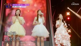 파워 보컬🎙 트롯 드림걸즈의😎 독보적인 하모니🎶 ‘갈색 추억’♪ TV CHOSUN 250625 방송