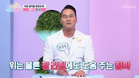 🤎참마🤎 소화 기능 개선하고 소화불량 걱정 STOP✋ TV CHOSUN 250627 방송