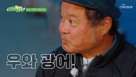 지금까지 이런 맛은 없었다😎✨ 특대 광어회와 함께하는 최고의 한 잔😆🍶 TV CHOSUN 250627 방송