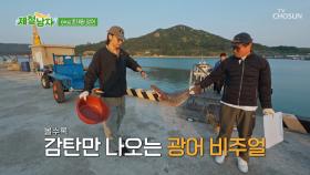 어머 이건 찍어야 돼🙊📸 쑥밭 사장님의 비밀 저장고 속 💥대왕 광어 등장💥 TV CHOSUN 250627 방송