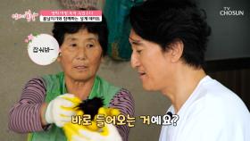 갓 잡은 성게를 손질까지💫 물질 후에도🤿 끝나지 않는 해녀 어멍의 일😅 TV CHOSUN 250629 방송