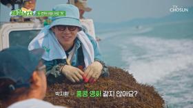 쉴 새 없이 톳질만 하다 보니 어느새 톳 침대🛏 완성🤩 TV CHOSUN 250704 방송