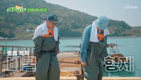 열심히 일한 만큼 막걸리가 간절한 비굴 형제🥺🙏 TV CHOSUN 250704 방송