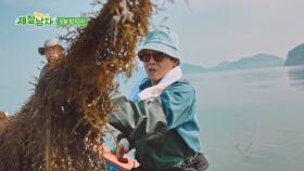 [선공개] 대림동 낫질 솜씨(?) 어디 안 갔네~ TV CHOSUN 250704 방송