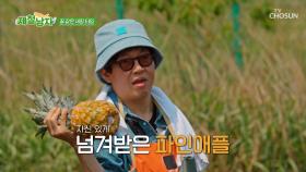 새참 타임✨ 모두를 놀라게 만든🙊 지환의 수준급 칼질🔪 TV CHOSUN 250704 방송