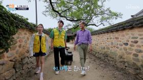 손님 물건 배달📦 겸 남사예담촌🏘 구경하기👀 TV CHOSUN 250706 방송