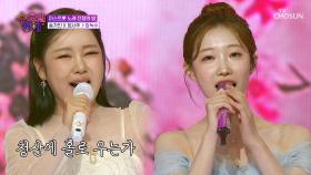 이건 꼭 봐야 돼👀‼ 가인 & 서주의 첫 듀엣👩‍❤️‍👩 ‘장녹수’♪ TV CHOSUN 250709 방송