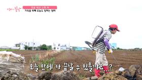 끝나지 않는 일💦 가족을 위해 쉬지 않고 일하는 엄마😥 TV CHOSUN 250713 방송