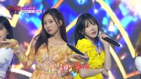 올여름 트롯계는 🌟정슈리가 정복한다🌟 ‘이 오빠 뭐야’♪ TV CHOSUN 250716 방송