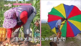 일 박사 해남댁 VS 딴청 박사 남편 이 부부가 사는 법_엄마의 봄날 514회 예고 TV CHOSUN 250720 방송